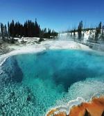 Snowy Forest Pool