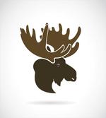 Canadian Deer Head