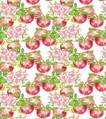 Nature Apple Tree Flower