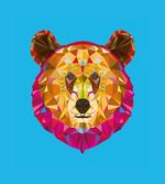 Geometric Head Poly Effect