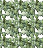 Opuntia Plant Watercolor