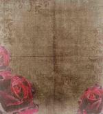Vintage Roses Frame