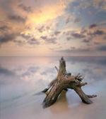 Sunrise on Sandy Beach
