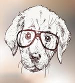 Hipster Puppy Glasses