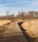 Forest National Park