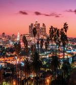Los Angeles Palms