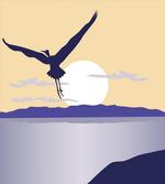 Flying Bird on Horizon