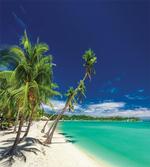 Exotic Beach and Coconut Trees