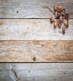 Acorns and Cons Timber