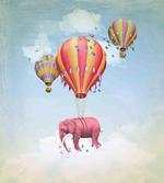 Pink Elephant in Sky