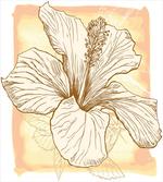 Large Hibiscus Flower Petals artwork