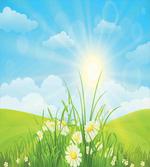 Floral Meadow Illustration