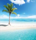 Idyllic Scenery Sunbeam