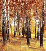 Autumn Leaves Design