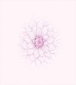 Close up Petal Sketch
