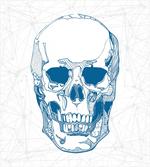 Skull Science Elements