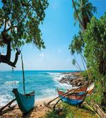 Tropical Ocean Scenery