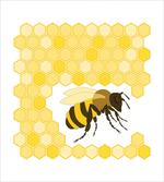 Single Bugnd Hexagons