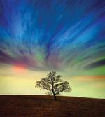 Surreal Sky Field Ombre