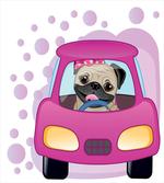 Dog Driving on Car