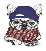 Cozy Hipster Winter Dog