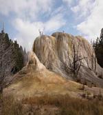 Rock Orange Spring