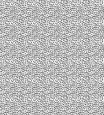 Monochrome Water Raindrops