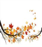 Autumn Tree Branches
