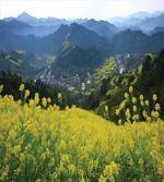 Flower Mountains