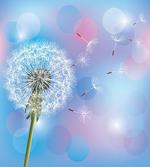 Bokeh Design Blowball