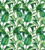 Equatorial Leaves