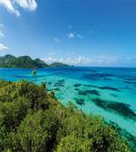 Green Trees Clear Water