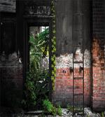 Bricks Plants