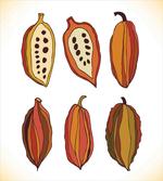 Tropical Fruit Beans Graphic