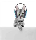 Animal Listening to Music