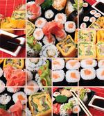Sushi Roll Colored