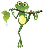 Frog on Branch Jungle