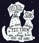 Friends are Like Stars