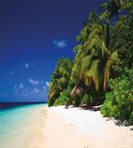 Sandy Coastline Surreal
