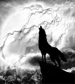 Howling Under Full Moon