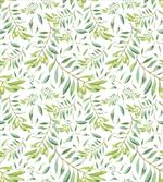 Olive Tree