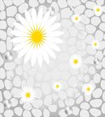 Flowers Animal Dots
