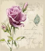 Vintage Delicate