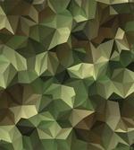 Angular Polygon Design