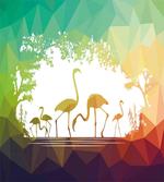 Flamingo Wild Animals