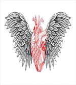 Realist Human Heart