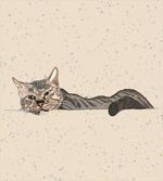 Lazt Sleepy Cat