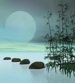 Ombre Sky Plants and Rocks