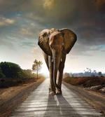 Walking down a Road