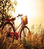 Bike in Sepia Tones Rural
